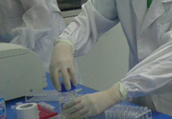 厦门孕期亲子鉴定中心地址在哪里