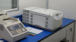 厦门医院如何做DNA亲子鉴定（推荐华鉴中正）